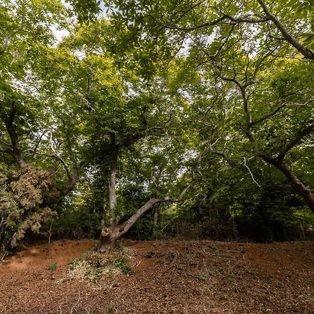 Maison Mialon: Country House Amidst Of Nature La Esperanza  Esterno foto