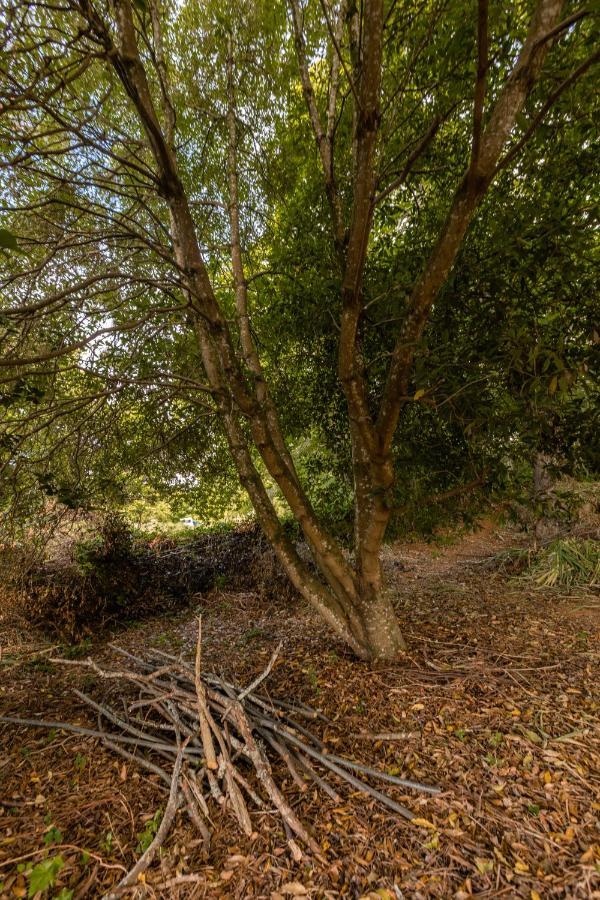 Maison Mialon: Country House Amidst Of Nature La Esperanza  Esterno foto
