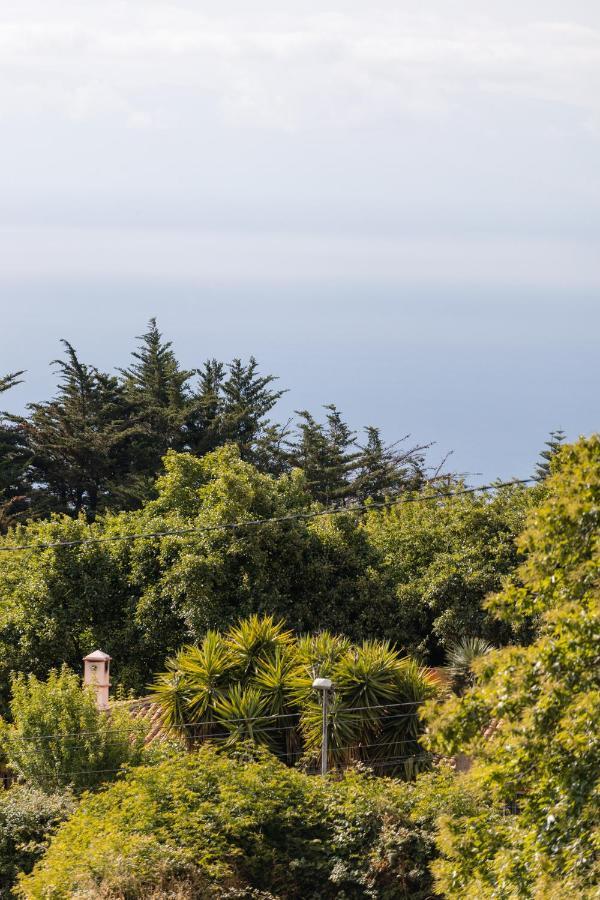 Maison Mialon: Country House Amidst Of Nature La Esperanza  Esterno foto