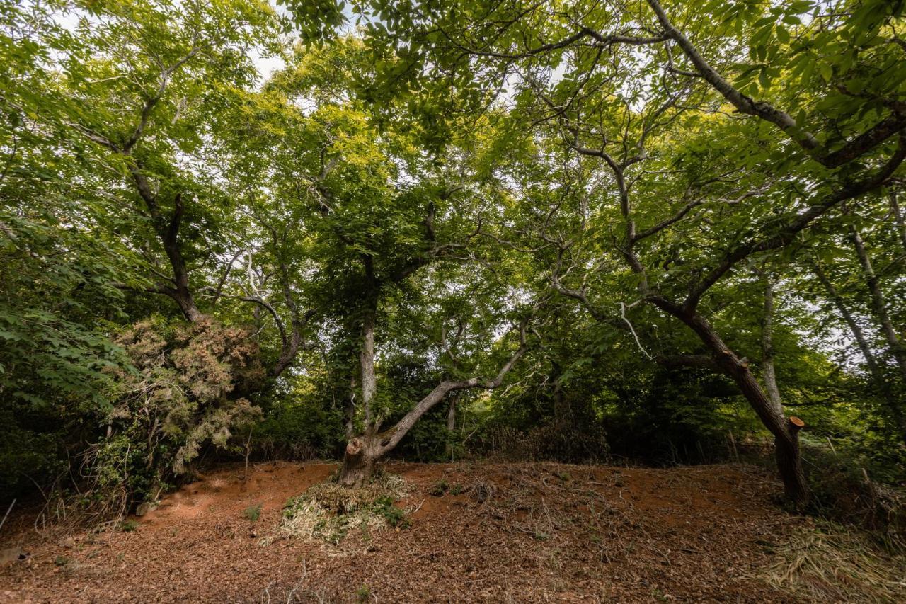 Maison Mialon: Country House Amidst Of Nature La Esperanza  Esterno foto